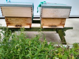 Bee Hives at ATC